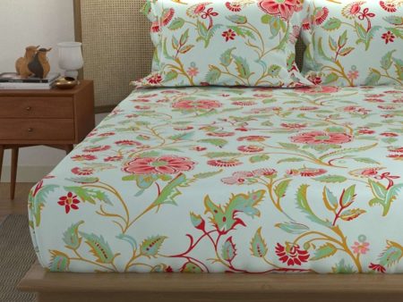 Divine - 100%  Cotton Double Bedsheet with 2 Pillow Covers - Monsoon SkyBlue Discount