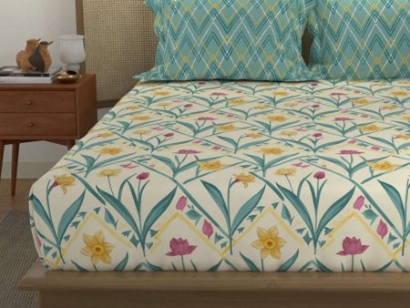 Divine - 100%  Cotton Double Bedsheet with 2 Pillow Covers - Spring Torquoise Online now