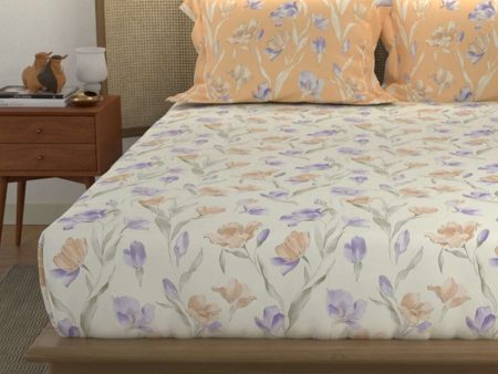 Divine - 100%  Cotton Double Bedsheet with 2 Pillow Covers - Autumn Peach Fashion