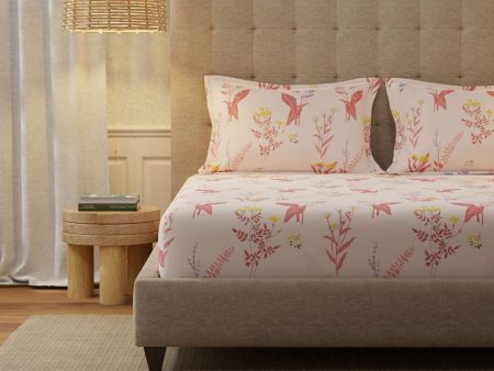 Serene 200 TC 100% Cotton Bedsheet with Pillow Covers - Whisper Peach Supply